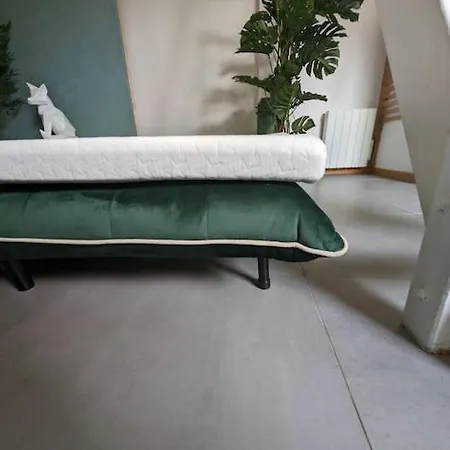 Evasion Verte En Alsace ! Lägenhet Niederschaeffolsheim