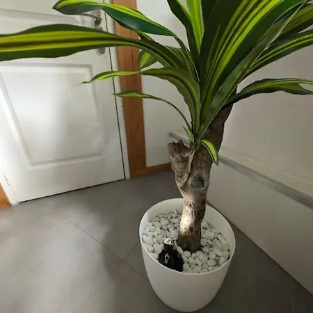 Apartment Evasion Verte En Alsace ! Niederschaeffolsheim