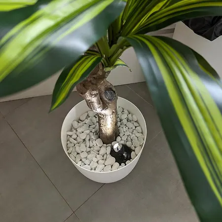 Evasion Verte En Alsace !